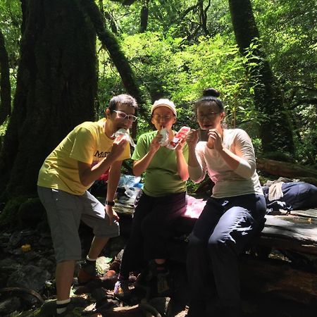Yakushima Youth Hostel Екстериор снимка