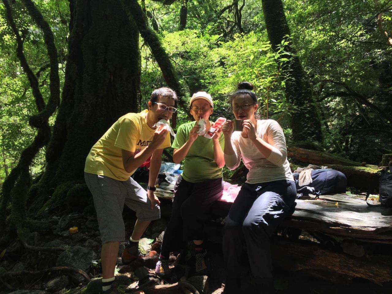 Yakushima Youth Hostel Екстериор снимка